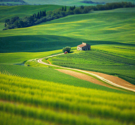 春天连绵山脉绿色草地郊游，清新惊蛰春分摄影图