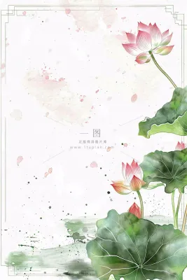 夏天荷花荷叶清凉小清新淡雅小暑大暑处暑插画背景 夏天荷花荷叶清凉小清新淡雅小暑大暑处暑插画背景