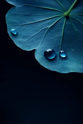 蓝色荷叶意境水珠节气海报背景 蓝色荷叶意境水珠节气海报背景