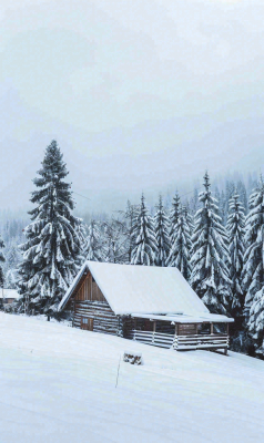 冬天寒冷白雪结冰小寒摄影图 冬天寒冷白雪结冰小寒摄影图