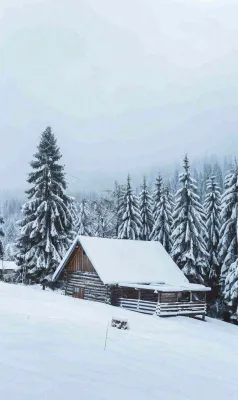 冬天寒冷白雪结冰小寒摄影图 冬天寒冷白雪结冰小寒摄影图
