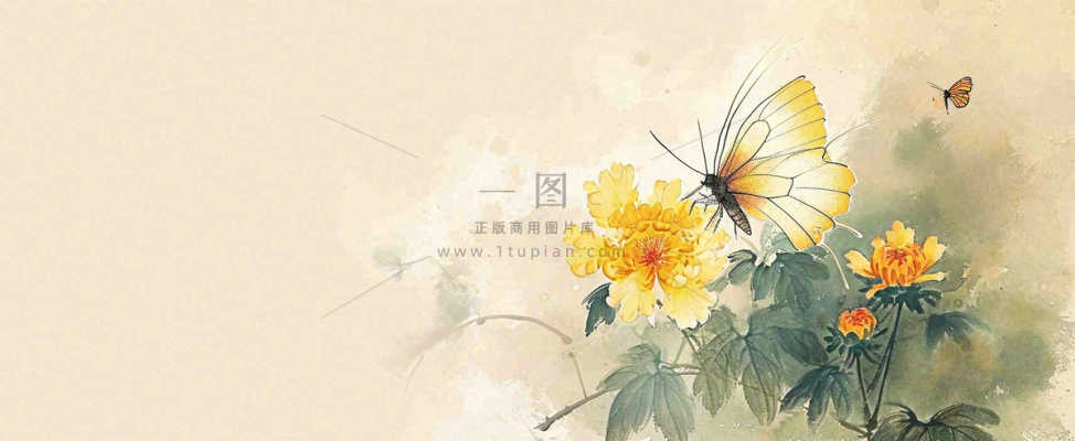 温馨纹理橙色花朵鲜花蝴蝶意境唯美渐变,中国风 温馨纹理橙色花朵鲜花蝴蝶意境唯美渐变,中国风