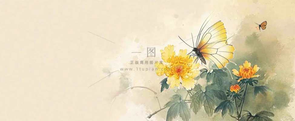 温馨纹理橙色花朵鲜花蝴蝶意境唯美渐变,中国风 温馨纹理橙色花朵鲜花蝴蝶意境唯美渐变,中国风