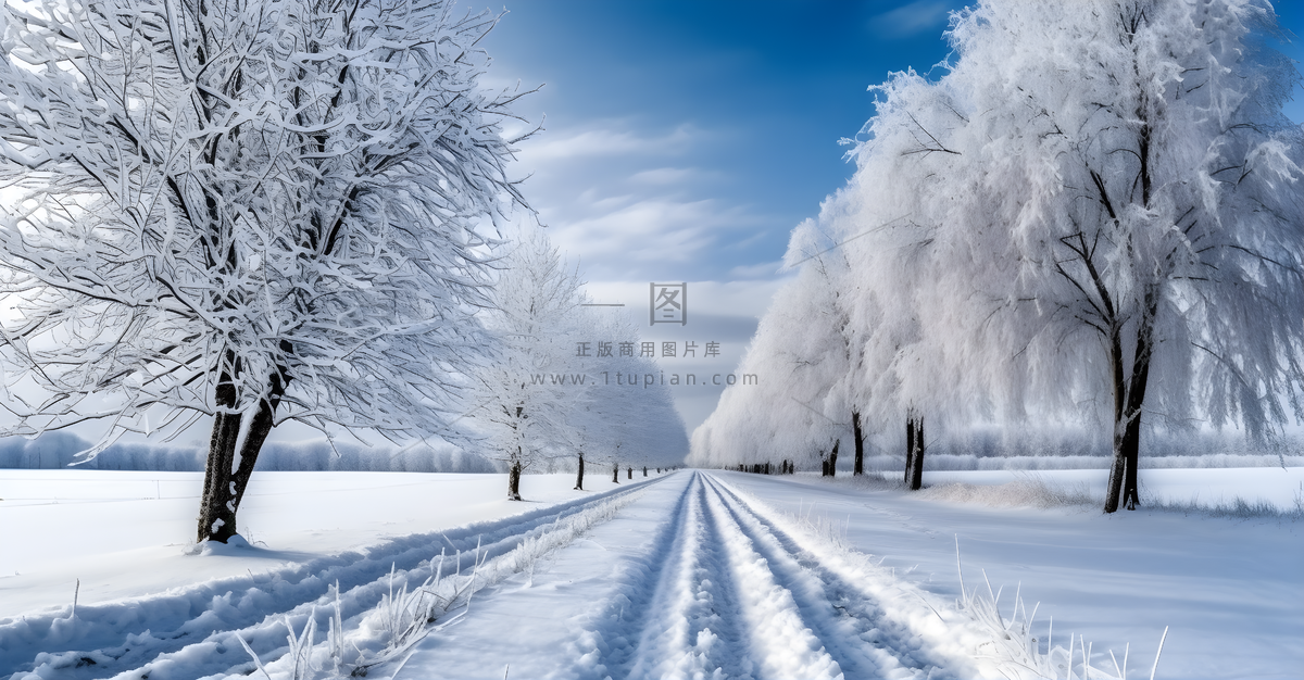 冬天雪景图下雪马路旁边空旷的地上厚厚的积雪摄影图