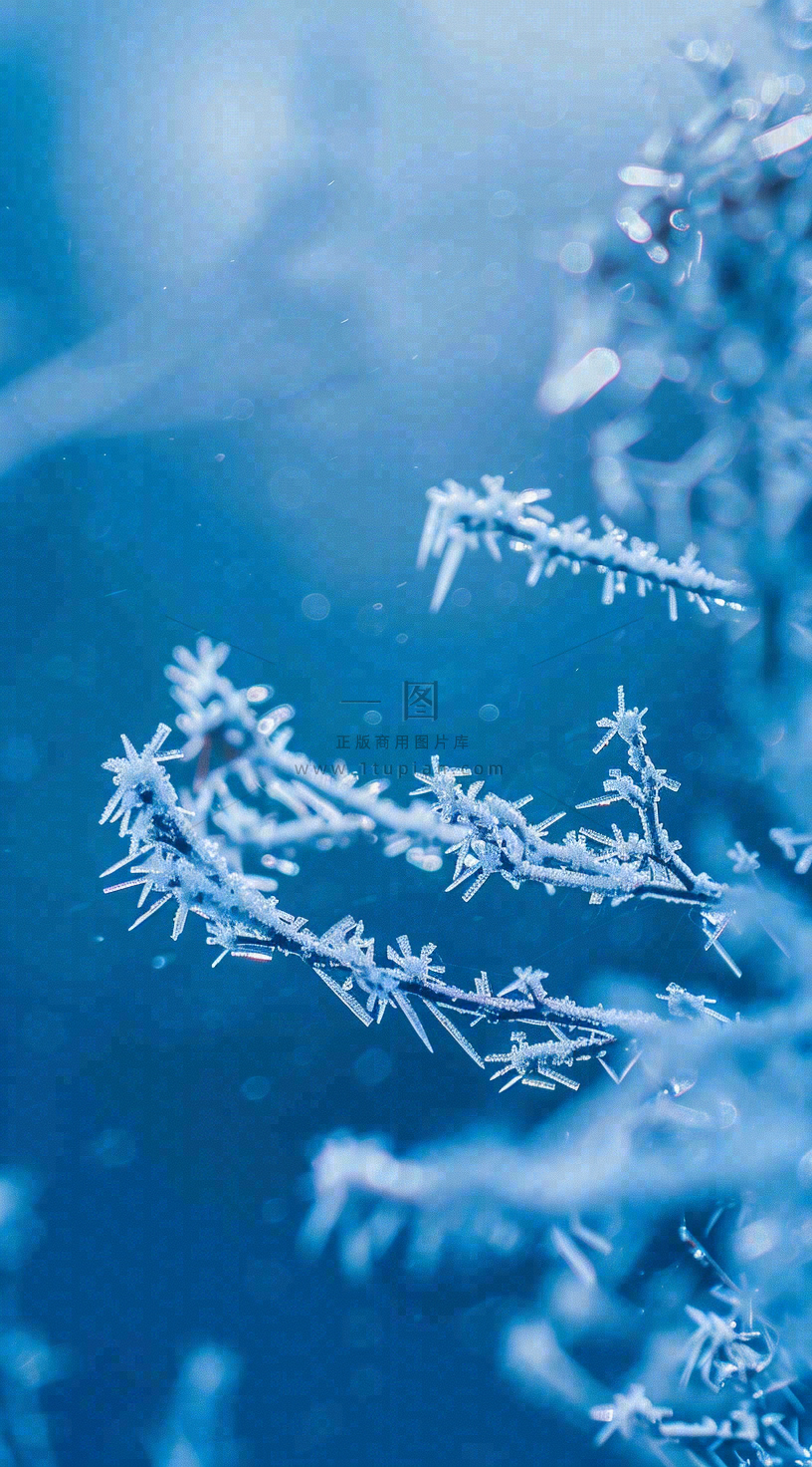 冬天寒冷白雪结冰大寒摄影图