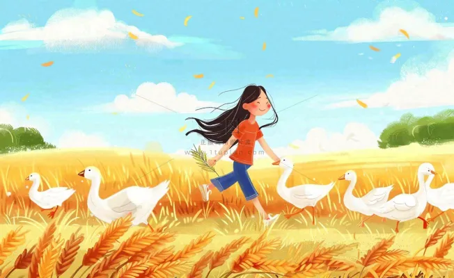 秋天丰收农田女孩赶鸭鹅农活农忙欢乐金色麦田秋分立秋芒种卡通插画背景
