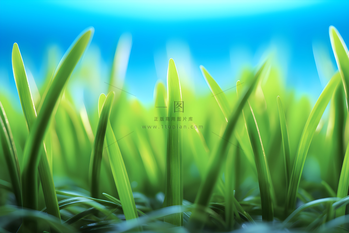 小草嫩叶嫩芽绿色海报素材背景