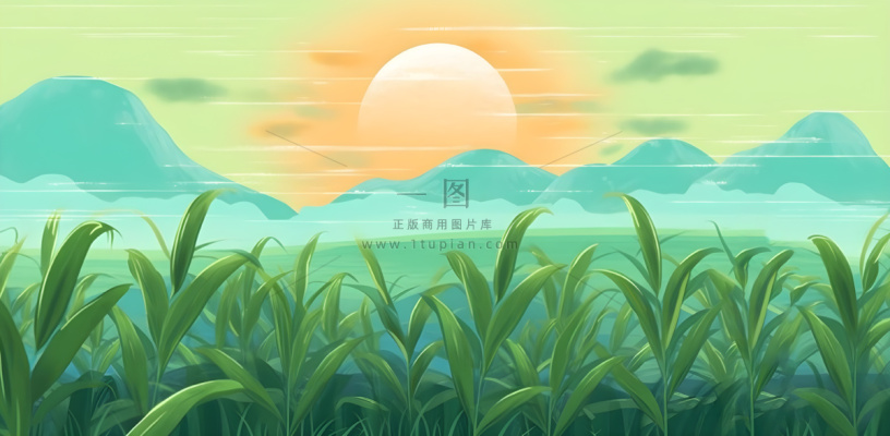 农田庄稼小麦玉米地夕阳晚霞绿色背景