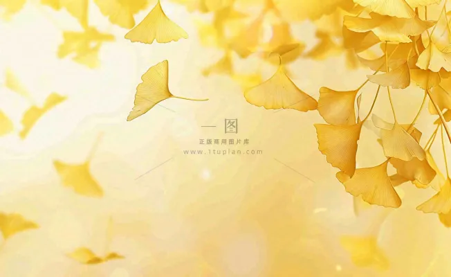 秋天银杏树黄叶落叶立秋秋分手绘插画背景 秋天银杏树黄叶落叶立秋秋分手绘插画背景