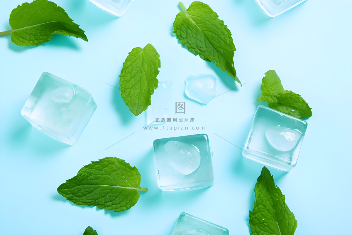 :一张照片是浅蓝色背景下的几个方形冰块和绿色薄荷叶