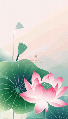 夏天荷花荷叶清凉小清新淡雅立夏夏至暑插画背景 夏天荷花荷叶清凉小清新淡雅立夏夏至暑插画背景