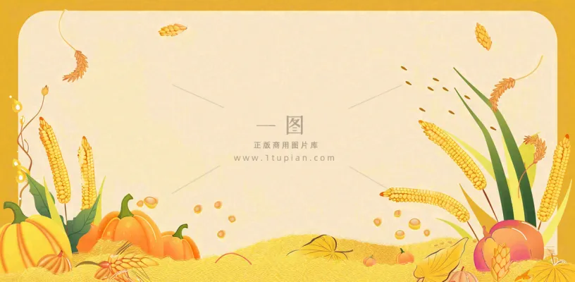 世界粮食日稻谷麦穗秋收卡通插画芒种秋分背景