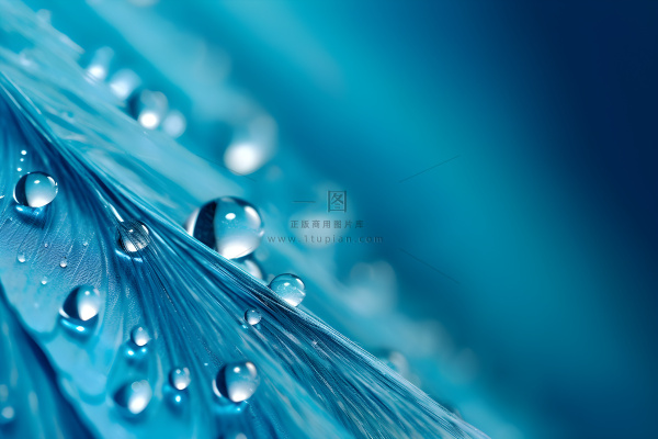 露珠蓝色清新大气背景 露珠蓝色清新大气背景