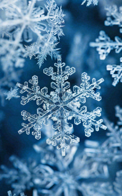 冬天寒冷白雪结冰小寒摄影图 冬天寒冷白雪结冰小寒摄影图