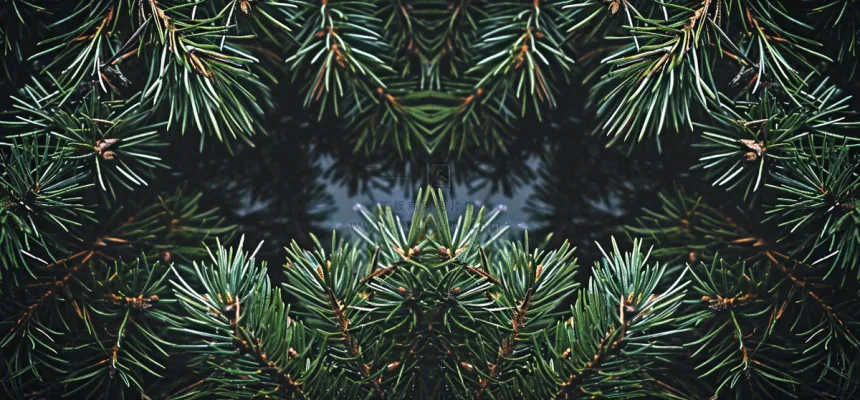 绿色绿植枝叶镜像镜头，新鲜生命力摄影图