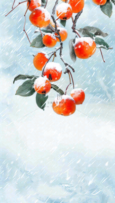 冬天风雪里的柿子树霜降插画背景