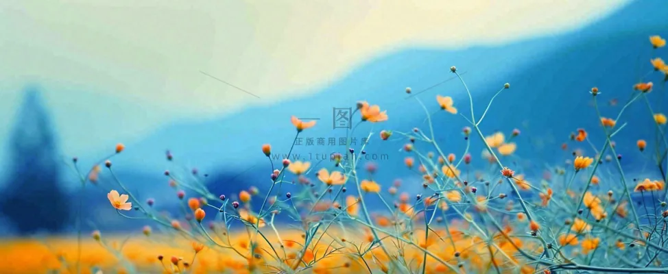 简约橙色小花鲜花,蓝色天空山脉虚幻意境摄影图 简约橙色小花鲜花,蓝色天空山脉虚幻意境摄影图