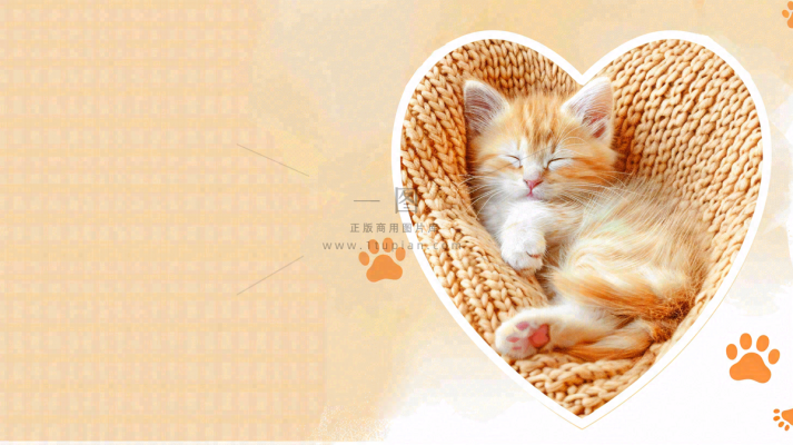 宠物常识宠物攻略猫狗卡通插画背景