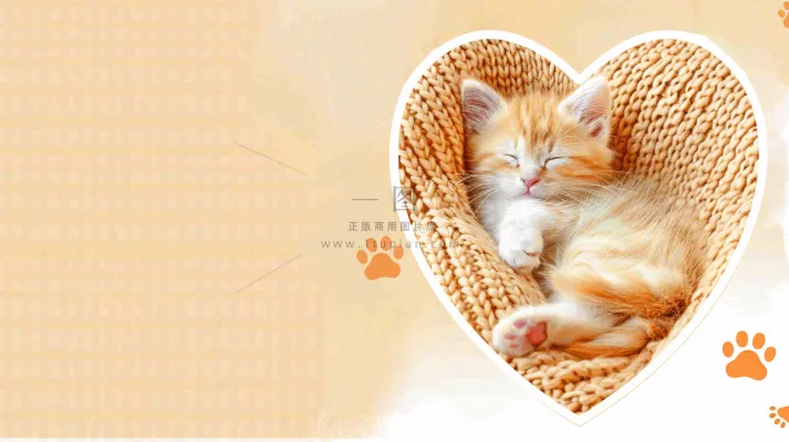 宠物常识宠物攻略猫狗卡通插画背景 宠物常识宠物攻略猫狗卡通插画背景