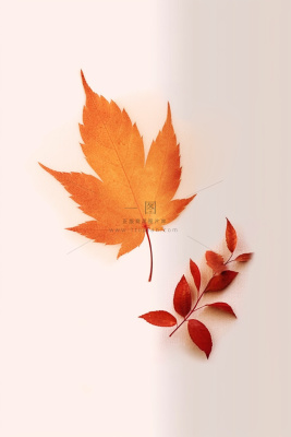 秋叶橙红色意境大气背景 秋叶橙红色意境大气背景