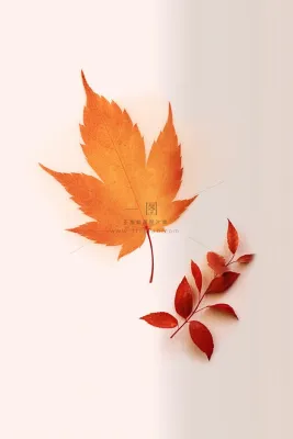 秋叶橙红色意境大气背景 秋叶橙红色意境大气背景