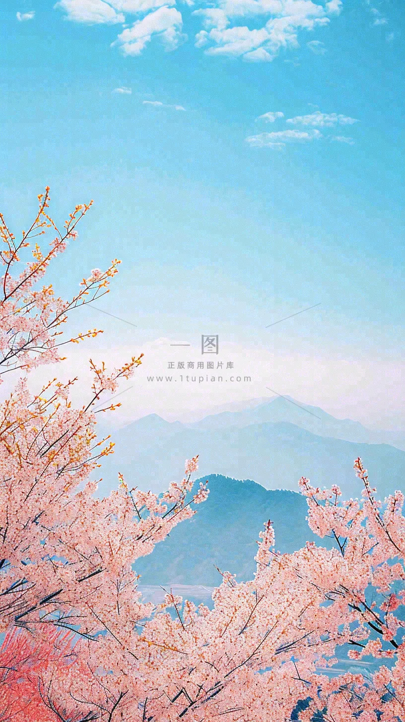 春天山河边蓝天粉色樱花花朵，惊蛰立春