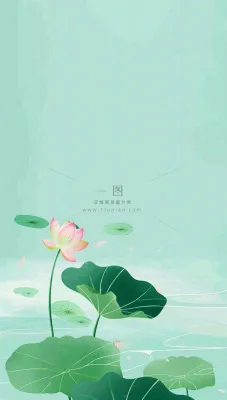 夏天荷花荷叶清凉小清新淡雅小暑大暑处暑插画背景 夏天荷花荷叶清凉小清新淡雅小暑大暑处暑插画背景