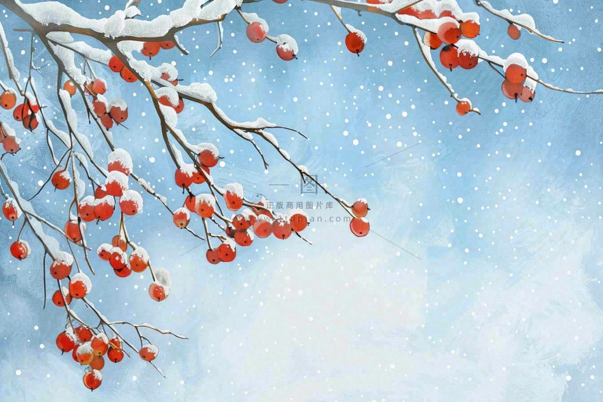 冬天白雪覆盖的红色果实白霜霜降小雪大雪水彩插画背景