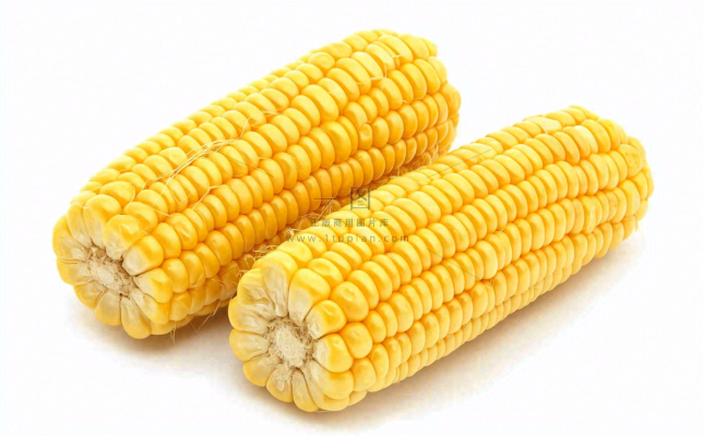 玉米蔬菜生鲜摄影图