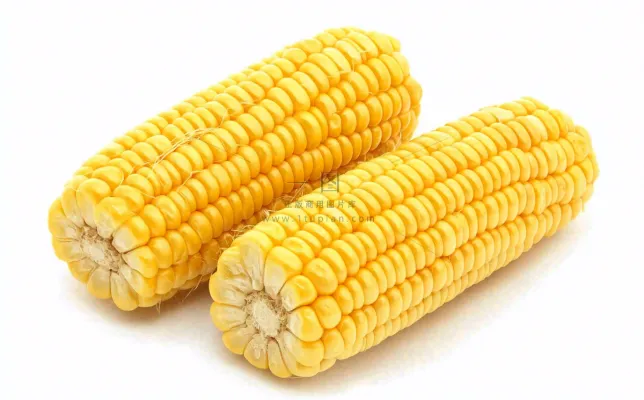玉米蔬菜生鲜摄影图