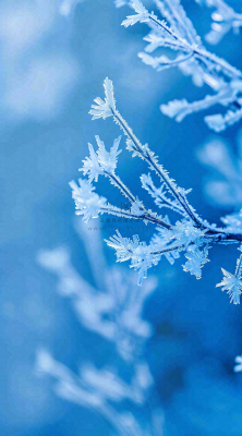 冬天寒冷白雪结冰小寒摄影图 冬天寒冷白雪结冰小寒摄影图