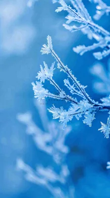 冬天寒冷白雪结冰小寒摄影图 冬天寒冷白雪结冰小寒摄影图