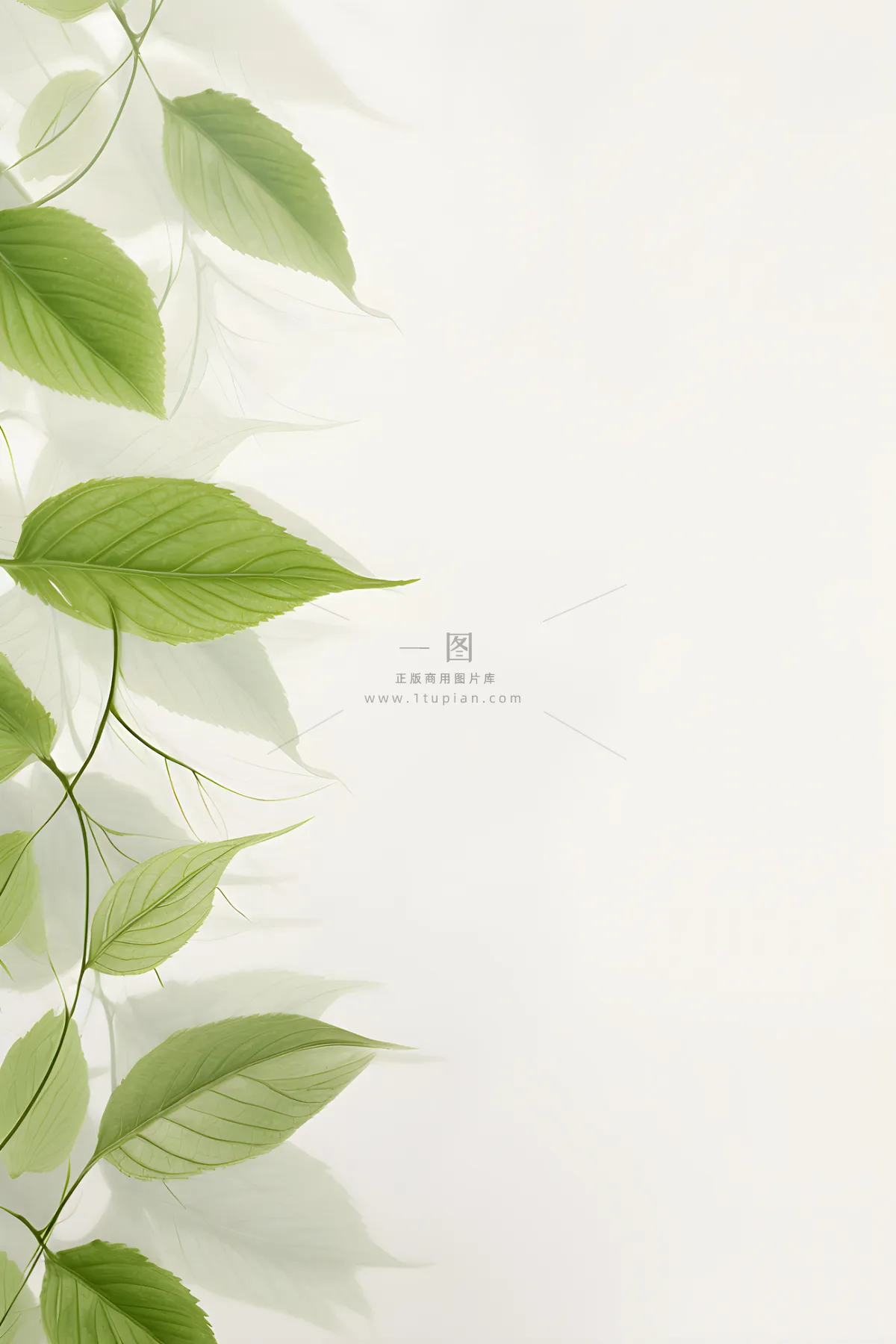 简约清新树叶纹理背景
