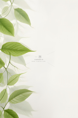 简约清新树叶纹理背景 简约清新树叶纹理背景