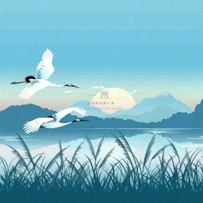 白鹭齐飞天水一色山水画芦苇荡清冷白露寒露插画背景