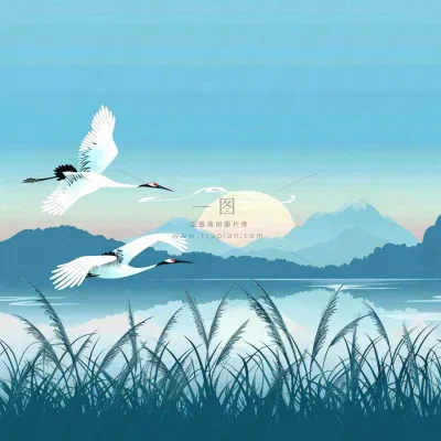 白鹭齐飞天水一色山水画芦苇荡清冷白露寒露插画背景