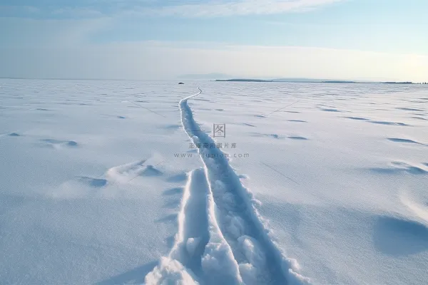 冬天雪地里走过的脚印雪景摄影图