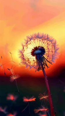 春天落日户外分散种子蒲公英夕阳晚霞摄影图