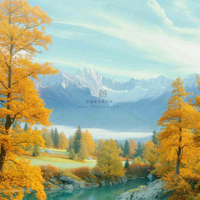 秋天黄色的树叶和草地肃杀的气氛,立秋,秋分 秋天黄色的树叶和草地肃杀的气氛,立秋,秋分