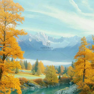 秋天黄色的树叶和草地肃杀的气氛,立秋,秋分 秋天黄色的树叶和草地肃杀的气氛,立秋,秋分