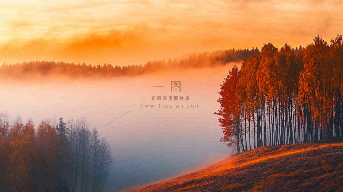 秋天风景夕阳日出云雾森林摄影图