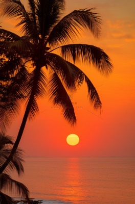 夏日沙滩椰树海边落日余晖晚霞摄影图
