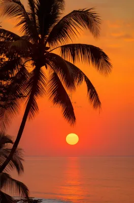 夏日沙滩椰树海边落日余晖晚霞摄影图