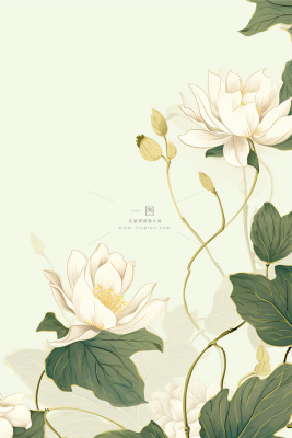 简约淡雅荷花荷叶清新节气海报背景 简约淡雅荷花荷叶清新节气海报背景