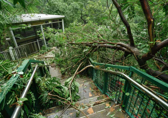 台风预警天气自然灾害