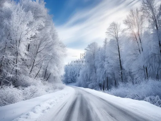 冬天大雪道路积雪两边的树木雾凇摄影图