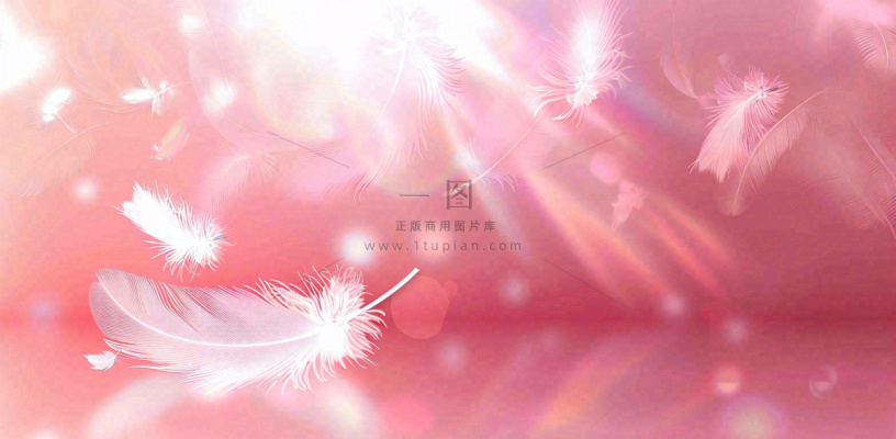 粉色气泡羽毛梦幻情人节七夕插画背景