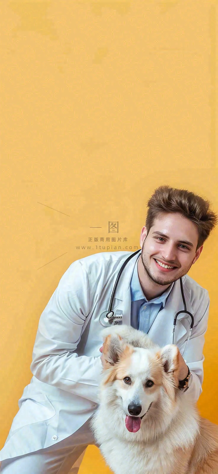 萌宠宠物医院医生抱着狗狗摄影图背景
