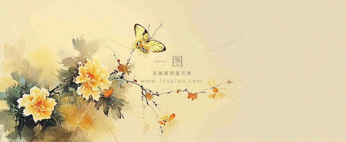 温馨纹理橙色花朵鲜花蝴蝶意境唯美，中国风