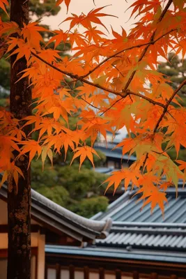 秋末雨过红枫叶苏州庭院风景摄影图